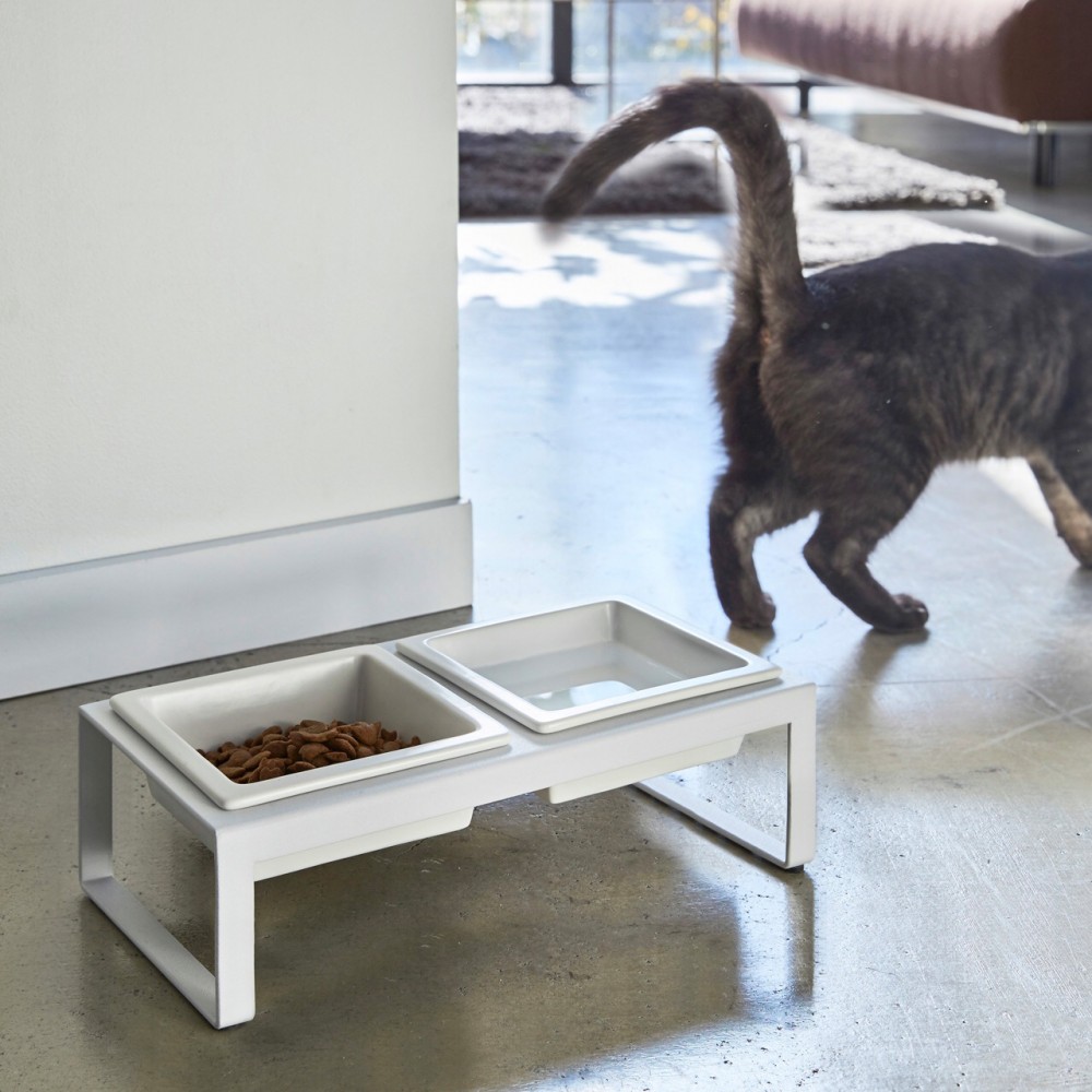 Modern Pet Bowl - Blanc