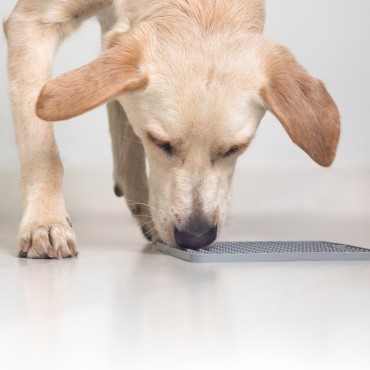 Tapis de léchage gris