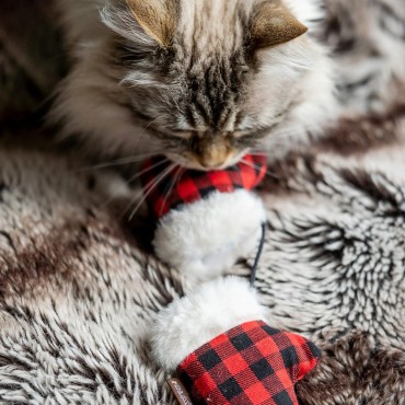 Peluches pour chat PLAY à la cataire – Mini Moufles