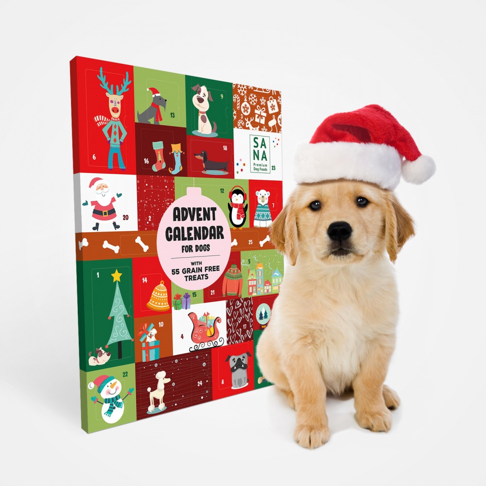 Gigantesque Calendrier de l’Avent pour chien Sanadog